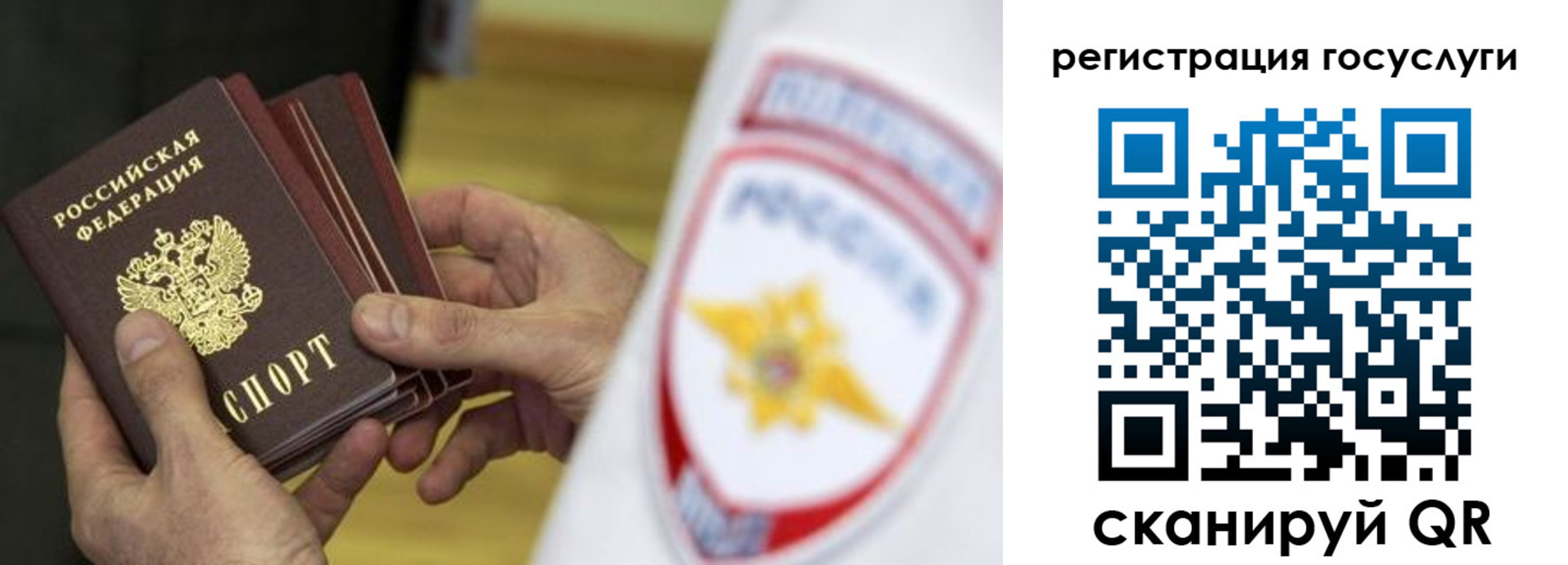 временная регистрация госуслуги в Ельне