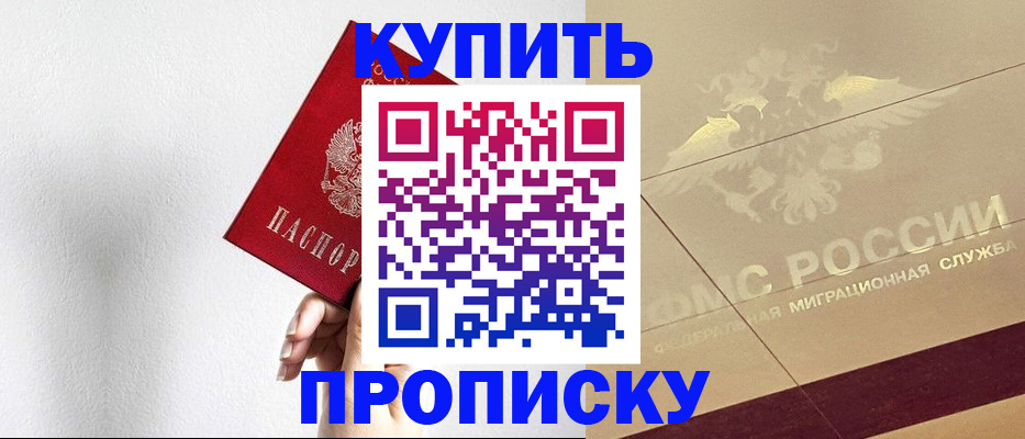 прописка в Ельне